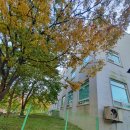 영등동시립도서관 | 익산영등동 도서관외벽청소