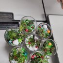 황등중학교 이미지