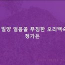 오리정가 이미지