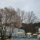 에브리선데이커피 본점 이미지