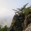 백운곰탕 이미지