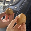 대전 1박 2일 / 또 대전이요?