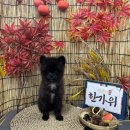멍굴멍굴 이미지