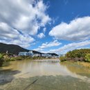 데려오개 이미지