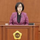선화초교 이미지