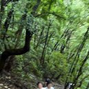 중산초교 이미지