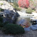 김종철 시비 이미지