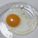 기러기농장 | [리뷰] 낭만기러기 청둥오리 유정란, 비린내 1도 없는 자연방사 청둥오리알의 고소함 후기 추천