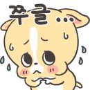 티렉스덴탈 이미지