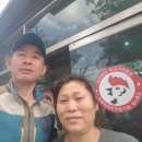 꼬꼬마식당 이미지