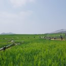 휘성농장 이미지