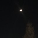 명인만두 목동이대병원점 이미지