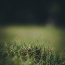 오늘의뽑기 이미지