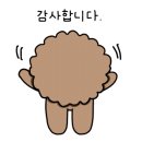 사과나무동물병원