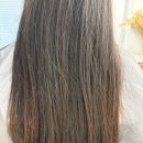 다원헤어 | 천안 쌍용동미용실 살롱다원에서 레이어드 커트한 후기