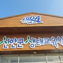 (사)섬생태연구소 생태캠프 이미지