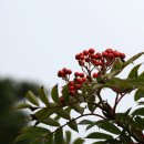 산일민박 이미지