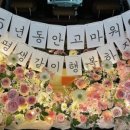 바니디자인