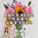 오늘의 꽃 | 게임 꽃을 키우면 실물 꽃 정말로 받을 수 있나? 당첨 후기, 꿀팁 공유