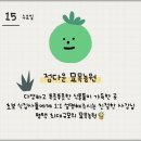 평택 식집사들 모여라! JB가든센터 파트너 평택최대규모 화훼단지┃정다운묘목농원