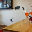 푸른너울펜션 이미지