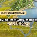 보전간척지 이미지