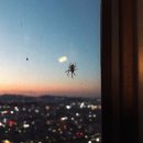 엑스포로1(북) 이미지