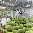 [대전 둔산동 데이트]새로 생긴 오락실 방문 후기 #짱오락실