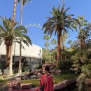 플라밍고 | 라스베가스 호텔 추천 플라밍고 리조트피 짐보관 후기