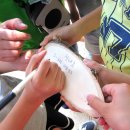 천내초등학교 이미지