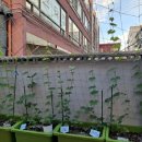 모아생활에스오씨협동조합 이미지