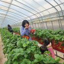 갈마농장 이미지