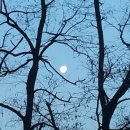 보약한첩 이미지