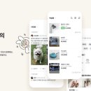 보나마켓