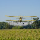 상상농장 이미지