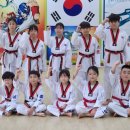 용인대 미르 태권도 이미지