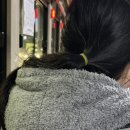 월드진 이미지