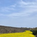 하도별방진 이미지