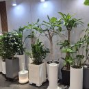 단아산부인과의원 이미지