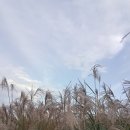 재우