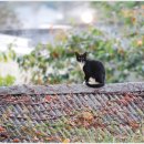 해질무렵 이미지