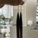 헤어포레&붙임머리