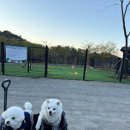 고흥브이 실내수영장 | 고흥 신스글램핑 후기 | 실내수영장·키즈시설·애견동반까지 완벽했던 여행