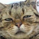지금