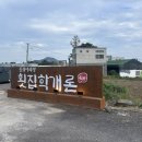 제주회포장물회횟집학개론 | [횟집학개론] 제주 서귀포시 물회, 고등어회 맛집 추천