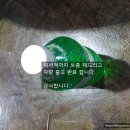 금당정비타이어