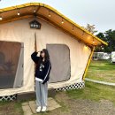 내돈내산 서울근교 가을글램핑장 추천 송도국제캠핑장 글램핑 코디