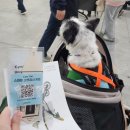 엑스포로 | 2026년 대전 펫페어 DCC 대전컨벤션센터 다녀온 후기