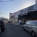 펫클럽울산