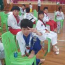 탑(TOP)태권도 체육관 이미지